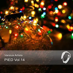 Various – PIED Vol. 14 (File, MP3)