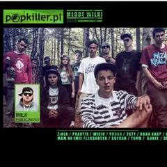 Various – Popkiller.pl Młode Wilki 2013 (CD, Compilation)