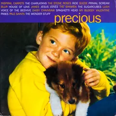 Various – Precious (Vinyl, LP)