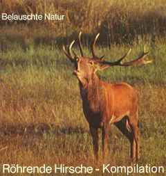 Various – Röhrende Hirsche Kompilation (CD, Mini)