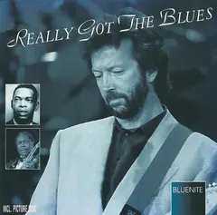 Various Bluenite – Really Got The Blues (CD, Compilation)