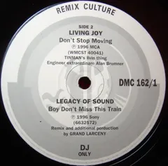 Various – Remix Culture 162 (Vinyl, 12")