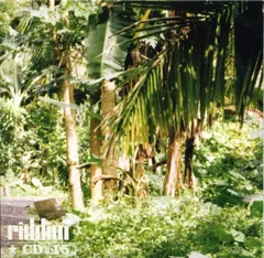 Various – Riddim CD #15 (CD, Compilation)