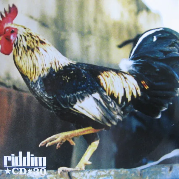 Various – Riddim CD #30