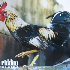 Various – Riddim CD #30 (CD, Compilation)