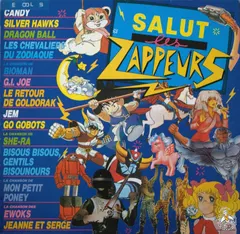 Various – Salut Les Zappeurs (Vinyl, LP)