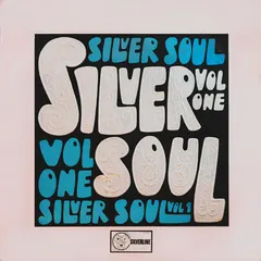 Various – Silver Soul Volume One (Vinyl, LP)