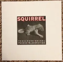 Various – Squirrel (Vinyl, 7")