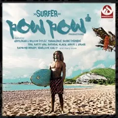 Various – Surfer (CD)