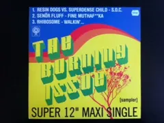 Various – The Burning Issue (Sampler) (Vinyl, 12")