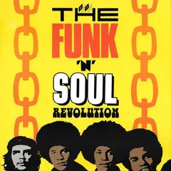 Various – The Funk 'N' Soul Revolution (Vinyl, LP)