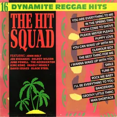 Various – The Hit Squad - 16 Dynamite Reggae Hits (Vinyl, LP)