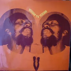 Various – Version To Version (Vinyl, LP)
