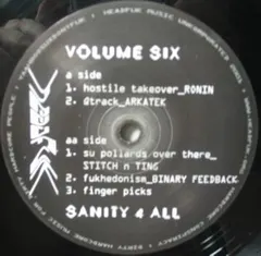 Various – Volume Six - Sanity 4 All (Vinyl, 12")