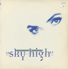 Voices (11) Present Individual – Sky High (Vinyl, 12")
