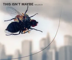Waldeck – This Isn't Maybe (CD, Maxi-Single)