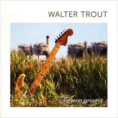 Walter Trout – Common Ground (Vinyl, LP)