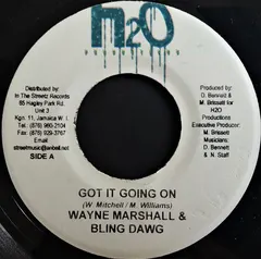 Wayne Marshall & Bling Dawg – Got It Going On (Vinyl, 7")