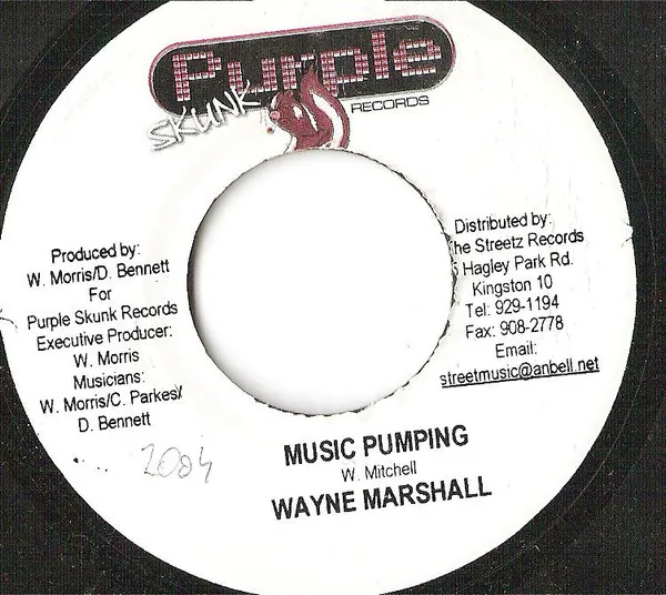 Wayne Marshall – Music Pumping