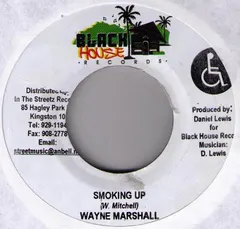 Wayne Marshall / Sanjay (3) – Smoking Up / Hush (Vinyl, 7")
