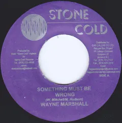 Wayne Marshall – Something Must Be Wrong (Vinyl, 7")