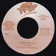 Wayne Mitchell – Earth Quake (Vinyl, 7")