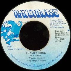 Wayne Palmer (2) – Trash & Brok (Vinyl, 7")