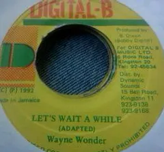 Wayne Wonder – Let's Wait A While (Vinyl, 7")