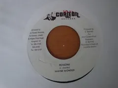 Wayne Wonder – Reasons (Vinyl, 7")