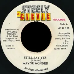 Wayne Wonder – Still Say Yes (Vinyl, 7")