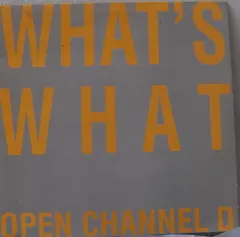 What's What – Open Channel D (Vinyl, LP)