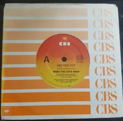 When The Cat's Away – Melting Pot (Vinyl, 7")
