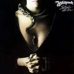 Whitesnake Geffen Records – Slide It In (Vinyl, LP)