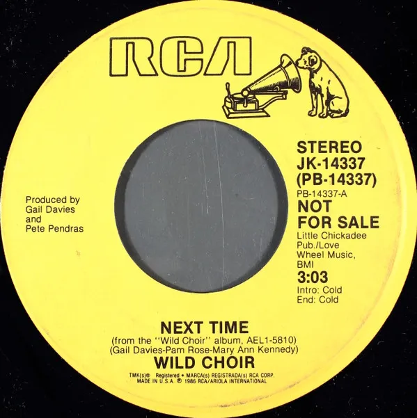 Wild Choir – Next Time