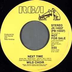 Wild Choir – Next Time (Vinyl, 7")