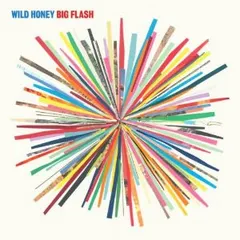 Wild Honey (2) – Big Flash (CD, Album)