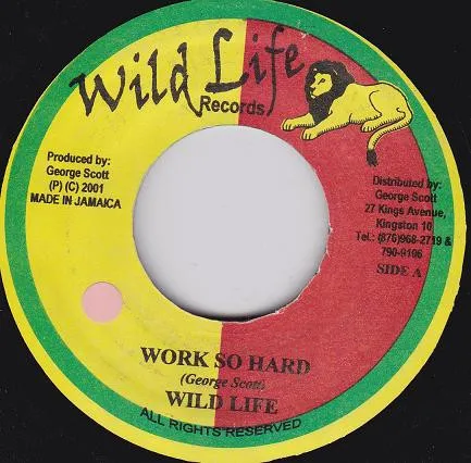 Wild Life – Work So Hard