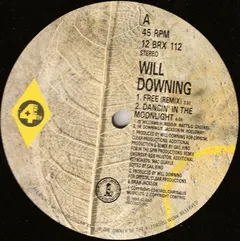 Will Downing – Free (The 'Freemix' E.P.) (Vinyl, 12")