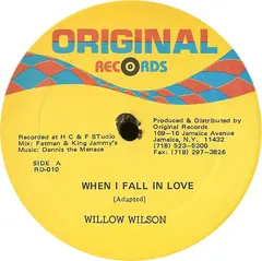 Willow Wilson* – When I Fall In Love (Vinyl, 12")