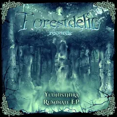 Yudhisthira – Ruminate EP (File, MP3)
