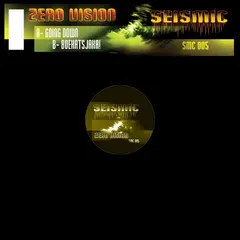 Zero Vision – Going Down (Vinyl, 12")