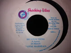 Zumjay / Wayne Marshall – Do Your Thing (Vinyl, 7")