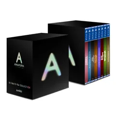 Annapurna Interactive Ultimate PS4 Collection