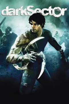 Dark Sector