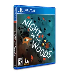 Night in the Woods