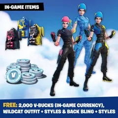 Nintendo Switch Fortnite Wildcat Bundle — Nintendo Switch Price & Value