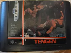 Pit-Fighter — Sega Genesis Price & Value