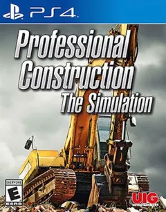 Professional Construction The Simulation