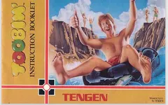 Toobin' — NES Price & Value