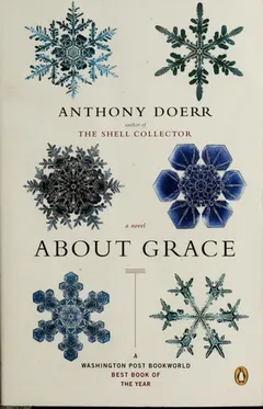 About Grace by Anthony Doerr
